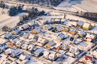Vue aérienne de Plantation en hiver avec de la neige à Rheinzabern dans le département Rhénanie-Palatinat, Allemagne