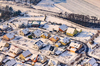 Vue aérienne de Plantation en hiver avec de la neige à Rheinzabern dans le département Rhénanie-Palatinat, Allemagne