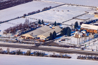 Vue aérienne de Adamshof en hiver avec de la neige à Kandel dans le département Rhénanie-Palatinat, Allemagne