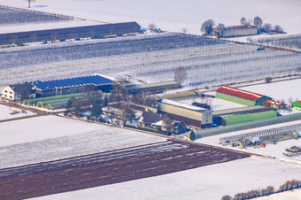 Vue aérienne de Marché fermier de Zapf en hiver sous la neige à Kandel dans le département Rhénanie-Palatinat, Allemagne