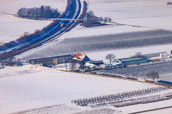 Vue aérienne de Légumes frais Zapf en hiver quand il y a de la neige à Kandel dans le département Rhénanie-Palatinat, Allemagne
