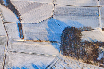 Vue aérienne de Vignoble en hiver sous la neige à le quartier Ingenheim in Billigheim-Ingenheim dans le département Rhénanie-Palatinat, Allemagne