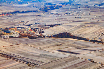 Vue aérienne de À l'Ahlmühle en hiver avec de la neige à Ilbesheim bei Landau dans le département Rhénanie-Palatinat, Allemagne