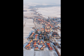 Vue aérienne de Champs agricoles et terres agricoles enneigés en hiver à Niederhorbach dans le département Rhénanie-Palatinat, Allemagne