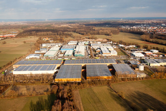 Photographie aérienne de Usine de pneus Michelin dans la zone industrielle de Landau Ost à Landau in der Pfalz dans le département Rhénanie-Palatinat, Allemagne