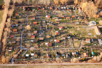 Vue aérienne de Jardin familial à le quartier Dammheim in Landau in der Pfalz dans le département Rhénanie-Palatinat, Allemagne