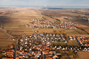 Vue aérienne de Bornheimer Straße à le quartier Dammheim in Landau in der Pfalz dans le département Rhénanie-Palatinat, Allemagne