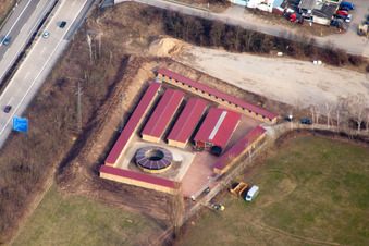 Photographie aérienne de Hippodrome forestier du Baden Racing Club à le quartier Seckenheim in Mannheim dans le département Bade-Wurtemberg, Allemagne