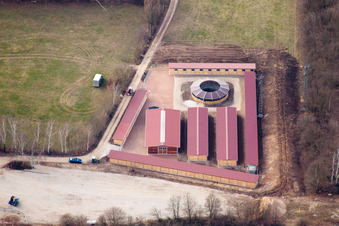 Vue oblique de Hippodrome forestier du Baden Racing Club à le quartier Seckenheim in Mannheim dans le département Bade-Wurtemberg, Allemagne