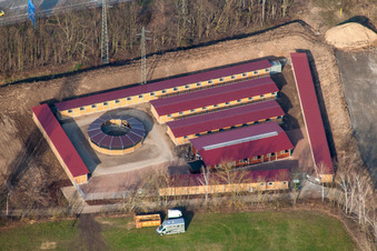 Vue aérienne de Circuit de course de la Waldrennbahn Seckenheim à le quartier Seckenheim in Mannheim dans le département Bade-Wurtemberg, Allemagne