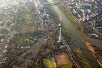 Vue aérienne de Luisenpark, tour de télécommunications à le quartier Oststadt in Mannheim dans le département Bade-Wurtemberg, Allemagne