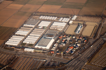 Vue aérienne de Terrain du marché de mai à le quartier Neuostheim in Mannheim dans le département Bade-Wurtemberg, Allemagne