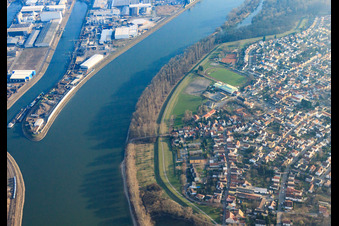 Vue aérienne de Ville sur le Rhin à Altrip dans le département Rhénanie-Palatinat, Allemagne