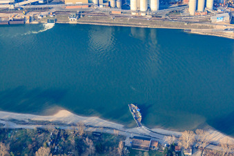 Vue aérienne de Bac du Rhin de Altrip à Neckarau à Altrip dans le département Rhénanie-Palatinat, Allemagne