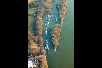Vue aérienne de Port de plaisance à le quartier Rheinau in Mannheim dans le département Bade-Wurtemberg, Allemagne