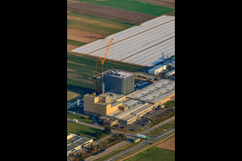 Vue aérienne de Zone industrielle d'Anhalter Straße avec Air-O-Tec GmbH et NewCoffee GmbH & Co. OHG à Ketsch dans le département Bade-Wurtemberg, Allemagne