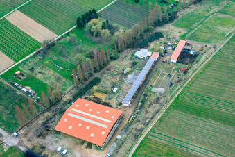 Vue aérienne de Hirtenbrunner Hof An der Ahlmühle à Ilbesheim bei Landau dans le département Rhénanie-Palatinat, Allemagne