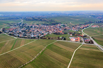 Vue aérienne de Village viticole en contrebas du Kleine Kalmit à Ilbesheim bei Landau dans le département Rhénanie-Palatinat, Allemagne