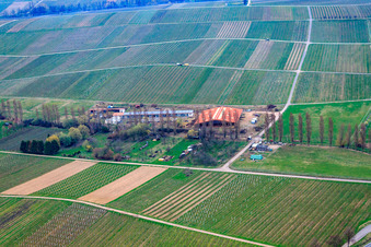 Vue aérienne de Pension pour chevaux au Hirtenbrunner Hof sur l'Aalmühl à Ilbesheim bei Landau dans le département Rhénanie-Palatinat, Allemagne