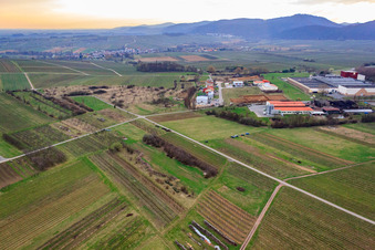 Photographie aérienne de À l'Ahlmühle, la porte allemande du vin eG à Ilbesheim bei Landau dans le département Rhénanie-Palatinat, Allemagne