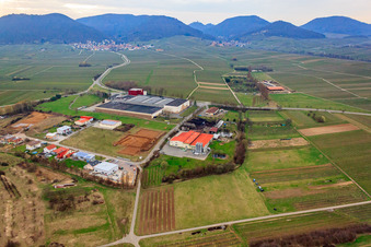 Vue oblique de À l'Ahlmühle, la porte allemande du vin eG à Ilbesheim bei Landau dans le département Rhénanie-Palatinat, Allemagne