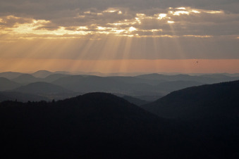 Vue aérienne de Coucher de soleil sur le Haardt près d'Eschbach à Leinsweiler dans le département Rhénanie-Palatinat, Allemagne