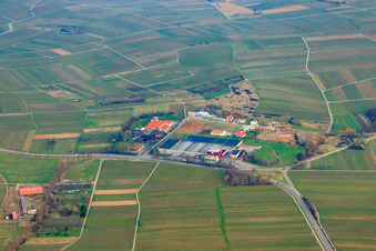 Vue aérienne de Zone industrielle An der Ahlmühle à Ilbesheim bei Landau dans le département Rhénanie-Palatinat, Allemagne