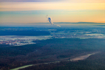Vue aérienne de Forêt entre Hatzenbühl/Rheinzabern à Rheinzabern dans le département Rhénanie-Palatinat, Allemagne