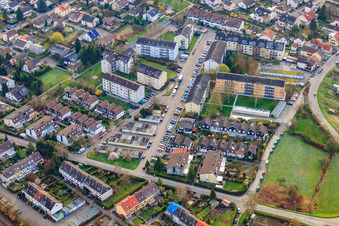 Vue aérienne de Haie de Sparben à le quartier Maximiliansau in Wörth am Rhein dans le département Rhénanie-Palatinat, Allemagne