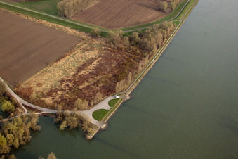 Vue aérienne de Ancienne rive du Rhin à le quartier Maximiliansau in Wörth am Rhein dans le département Rhénanie-Palatinat, Allemagne