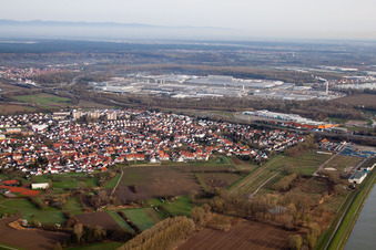 Vue aérienne de Du sud-est à le quartier Maximiliansau in Wörth am Rhein dans le département Rhénanie-Palatinat, Allemagne
