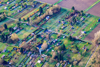 Vue aérienne de Jardins familiaux à le quartier Daxlanden in Karlsruhe dans le département Bade-Wurtemberg, Allemagne