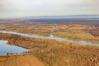 Vue aérienne de Estuaire de la Lauter à Neuburg am Rhein dans le département Rhénanie-Palatinat, Allemagne