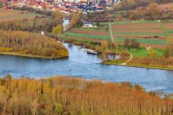 Photographie aérienne de Estuaire de la Lauter à Neuburg am Rhein dans le département Rhénanie-Palatinat, Allemagne