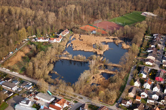 Vue aérienne de Biotopes sur le sentier forestier à le quartier Neuburgweier in Rheinstetten dans le département Bade-Wurtemberg, Allemagne