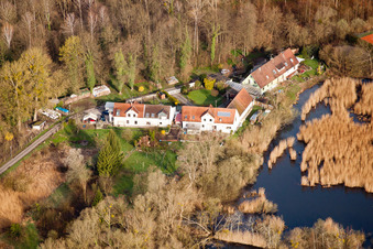 Photographie aérienne de Biotopes sur le sentier forestier à le quartier Neuburgweier in Rheinstetten dans le département Bade-Wurtemberg, Allemagne