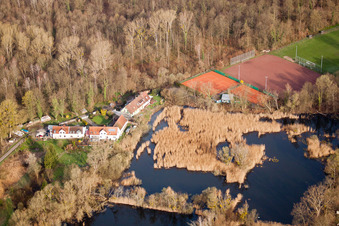 Vue oblique de Biotopes sur le sentier forestier à le quartier Neuburgweier in Rheinstetten dans le département Bade-Wurtemberg, Allemagne