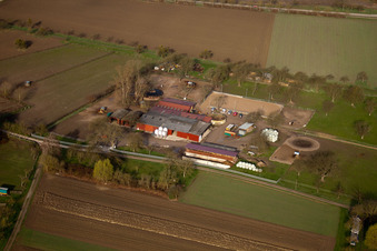 Vue aérienne de Wolfswiesenhof à Au am Rhein dans le département Bade-Wurtemberg, Allemagne
