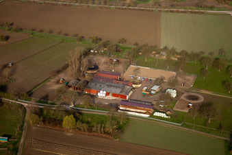 Vue aérienne de Wolfswiesenhof à Au am Rhein dans le département Bade-Wurtemberg, Allemagne