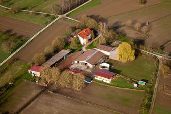 Vue aérienne de Pension pour chevaux Renz à Au am Rhein dans le département Bade-Wurtemberg, Allemagne