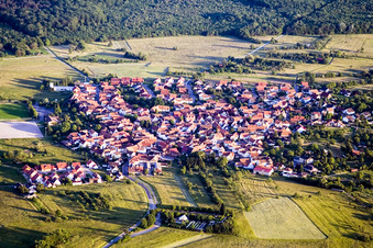 Vue aérienne de Vue sur le village à le quartier Büchelberg in Wörth am Rhein dans le département Rhénanie-Palatinat, Allemagne