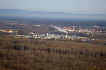 Vue aérienne de Usine chimique de l'autre côté du Rhin à Lauterbourg dans le département Bas Rhin, France
