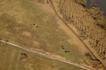 Munchhausen dans le département Bas Rhin, France du point de vue du drone