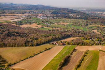 Image drone de Rittnerthof à le quartier Durlach in Karlsruhe dans le département Bade-Wurtemberg, Allemagne