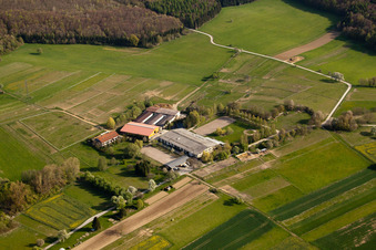 Vue aérienne de AG Animal Welfare Horses&Co à le quartier Wöschbach in Pfinztal dans le département Bade-Wurtemberg, Allemagne