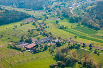 Vue oblique de AG Animal Welfare Horses&Co à le quartier Wöschbach in Pfinztal dans le département Bade-Wurtemberg, Allemagne