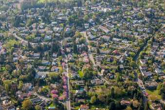Vue aérienne de Quartier de Turmberg avec ses cerisiers d'ornement en fleurs à le quartier Durlach in Karlsruhe dans le département Bade-Wurtemberg, Allemagne