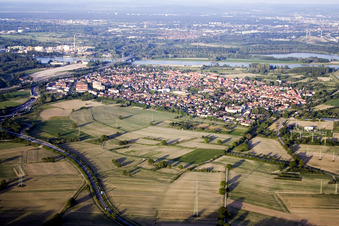 Vue aérienne de De l'ouest à le quartier Maximiliansau in Wörth am Rhein dans le département Rhénanie-Palatinat, Allemagne
