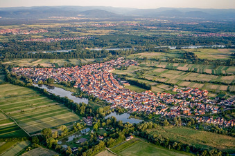Vue aérienne de Vue du village depuis le nord à Neuburg am Rhein dans le département Rhénanie-Palatinat, Allemagne