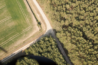 Vue aérienne de Quartier Körbitz in Niederer Fläming dans le département Brandebourg, Allemagne